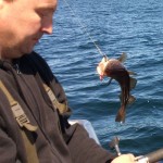 Policjanci z Katowic chętnie przyłączyliby morze do Śląska. Przynajmniej Ustkę…