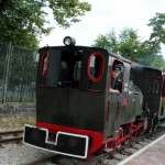 Wielki powrót po latach! W Parku Śląskim znowu jeździ wąskotorówka!