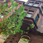 Konkurs fotograficzny „Katowice w obiektywie 2014”. Cenne nagrody do wygrania