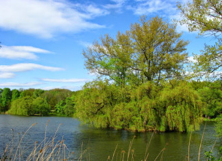 Tragiczny finał kąpieli w Katowicach