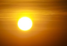 Upały zagrażają zdrowiu i życiu. Zadbaj o siebie i innych