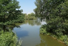 Park Śląski: Po tej decyzji „kroić Park” pod deweloperkę będzie teraz trudniej – twierdzą aktywiści. Uchwała o audycie krajobrazowym uchylona przez wojewodę