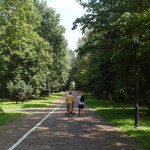 Deweloper nadal chce budować przy Parku Śląskim. 5 tys. podpisów pod petycją w sprawie ocalenia terenów zielonych