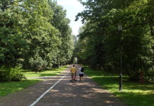 Nie chcą deweloperów w Parku Śląskim. Społecznicy poszli do wojewody żeby unieważnić uchwałę w sprawie audytu krajobrazowego