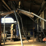 Co ma wspólnego komar w Parku Śląskim z warszawską tęczą?