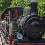 Parkowa wąskotorówka zakończyła pierwszy sezon po kilkuletniej przerwie