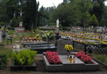 We wtorek Wszystkich Świętych. Przypominamy – zmiana organizacji ruchu w rejonie nekropolii