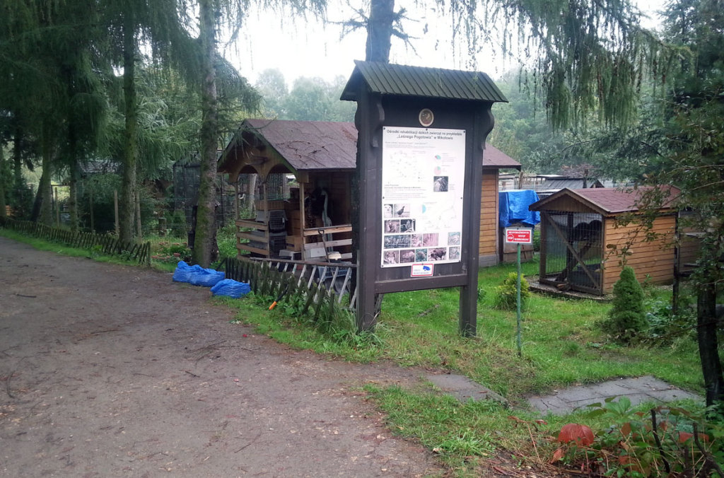 Leśne Pogotowie / fot. A. Maciaszczyk / Infokatowice.pl