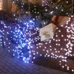 Szopka Bożonarodzeniowa w Śląskim Ogrodzie Zoologicznym