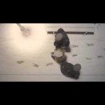 Po niektórych ludziach znika ślad… rusza kampania Fundacji ITAKA