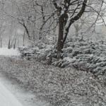 Zamiecie śnieżne i silny wiatr przez cały dzień w regionie. Na drogach trudne warunki