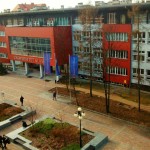 Czy Ślązacy będą mniejszością narodową? Zobacz wystąpienie prof. Kadłubka w Sejmie