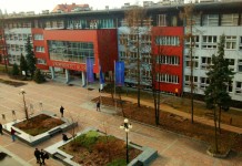 Czy Ślązacy będą mniejszością narodową? Zobacz wystąpienie prof. Kadłubka w Sejmie