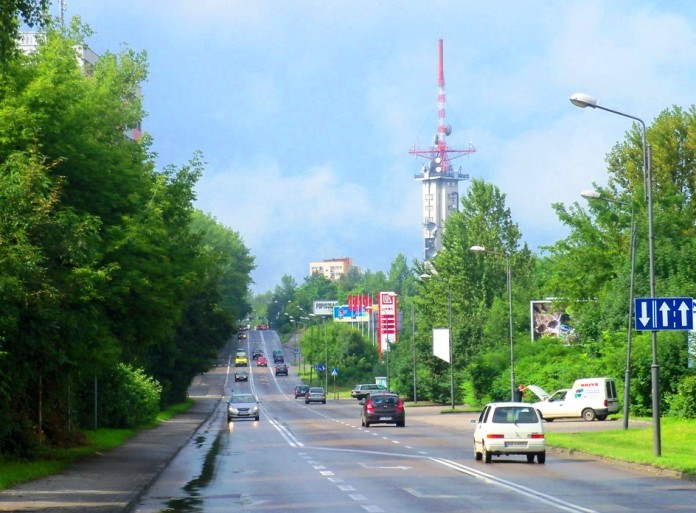 wełnowiec