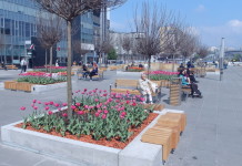 Ognisty spektakl na katowickim rynku