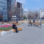 W niedzielę na katowickim Rynku wspólnie będą czytać książki. #CałySlaskCzytaPopulistom