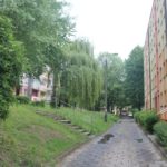 Mieszkańcy posprzątają Wełnowiec. Które tereny wymagają interwencji?