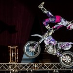 targispodek234244433