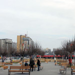 Katowice jak Słupsk? Radni nie chcą cyrków ze zwierzętami. „Patrząc ogólnie cyrki są mało estetyczne”