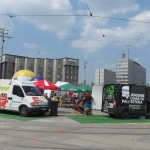 W Katowicach zaginęła zieleń – ktokolwiek widział, ktokolwiek wie?