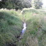 Rzeka Mleczna doczeka się umocnienia. Miasto planuje inwestycję