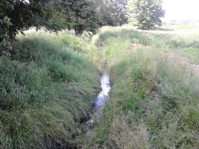 zarzecze rzeka mleczna