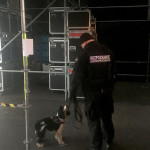 Sylwester w Katowicach będzie huczny. Psy szukały bomb przy Spodku (zdjęcia)