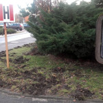 Urząd Miasta nie da pieniędzy na pomoc szpitalowi dziecięcemu. Na gadżety promocyjne fundusze się znalazły