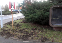 Urząd Miasta nie da pieniędzy na pomoc szpitalowi dziecięcemu. Na gadżety promocyjne fundusze się znalazły