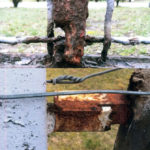 Będzie remont ogrodzenia przedszkola nr 55. Wcześniej w tej sprawie mieszkańcy napisali petycję i zebrali podpisy