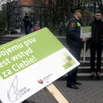 Wojna z psimi odchodami trwa. Będzie wiecej mandatów, a na trawnikach pojawią się specjalne tablice