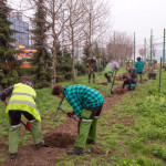 Magistrat namawia mieszkańców do sprzątania dzielnic. Kto ma ochotę pomóc?