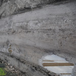 Zarzecze: Mieszkańcy chcą remontu ulicy Leszczy. Zebrali podpisy w tej sprawie (zdjęcia)