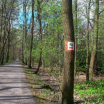 Urząd Miasta chwali się remontem trasy rowerowej. Naprawiona nawierzchnia, nowe ławki i kosze na śmieci