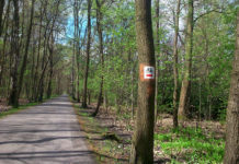 Urząd Miasta chwali się remontem trasy rowerowej. Naprawiona nawierzchnia, nowe ławki i kosze na śmieci