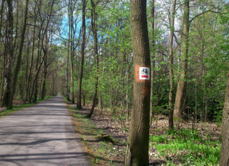 Urząd Miasta chwali się remontem trasy rowerowej. Naprawiona nawierzchnia, nowe ławki i kosze na śmieci
