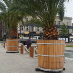 Nie będzie „plenerowej biblioteczki” przy palmach na Rynku. Ostatnio pokradli książki