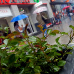 Meteorolodzy ostrzegają. Dzisiaj burze z możliwym gradem