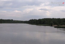 Miasto zleci inwentaryzację przyrodniczą stawów Borki, Morawa i Hubertus w Szopienicach-Burowcu