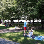 Borelioza to problem w Katowicach, ale opryski przeciw kleszczom możliwe tylko na popularnych skwerach