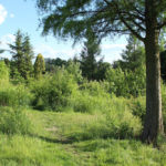 Przy ul. Agnieszki kosztem terenów zielonych powstanie ogromny parking na 5 tys. samochodów