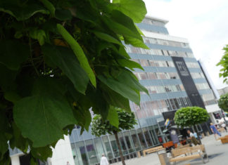 Będzie przebudowa ulic Gminnej, Janasa i Ondraszka w Załężu. Co dokładnie planuje miasto?