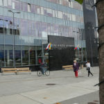 W Katowicach będą usuwać drzewa. Miasto przekonuje, że to konieczność