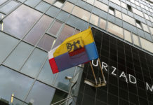 Miasto Katowice chce zmienić Lisa na innego Lisa. Ogłasza konsultacje w tej sprawie