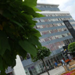 Miasto Katowice zaszczepi seniorów przeciw grypie. Dziesiątkują ich powikłania