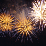 Tauron uspokaja. W Sylwestra zwierzęta w Śląskim ZOO będą spać spokojnie