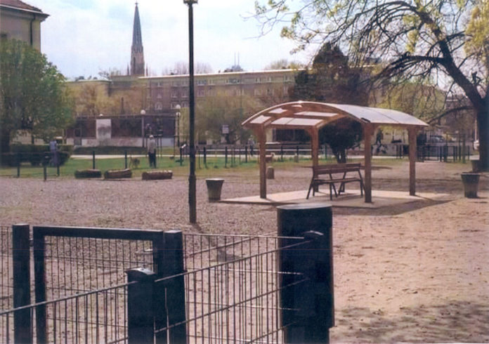 wybiegdlapsow_bo.katowice.eu