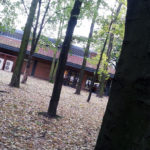 Młodzi kibole GieKSy napadli nastolatków w rejonie ronda gen. Ziętka i pobliskiego parku. Bili i okradali ich