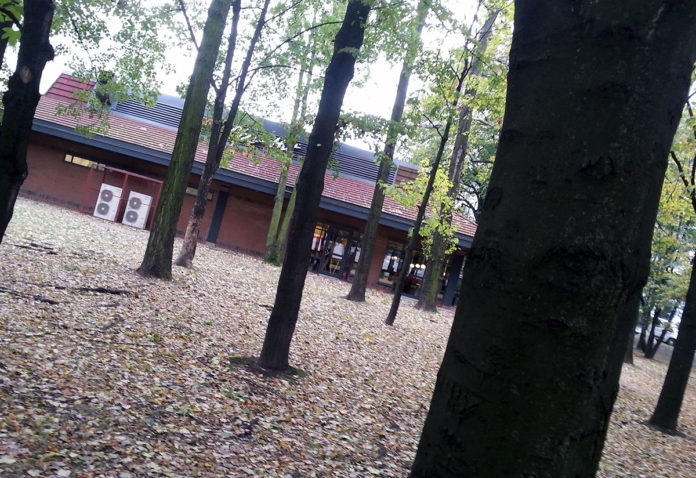 parkpowstancowslaskichdrzewa_pizzahut_art