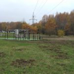 Aż strach wychodzić. Dziki panoszą się po Osiedlu Witosa. Plac Sportów Miejskich potrzebuje ogrodzenia